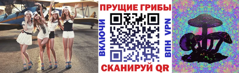 Псилоцибиновые грибы GOLDEN TEACHER Емва